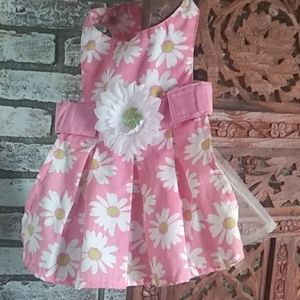 XS Pet FREE W/$15 or over purchase